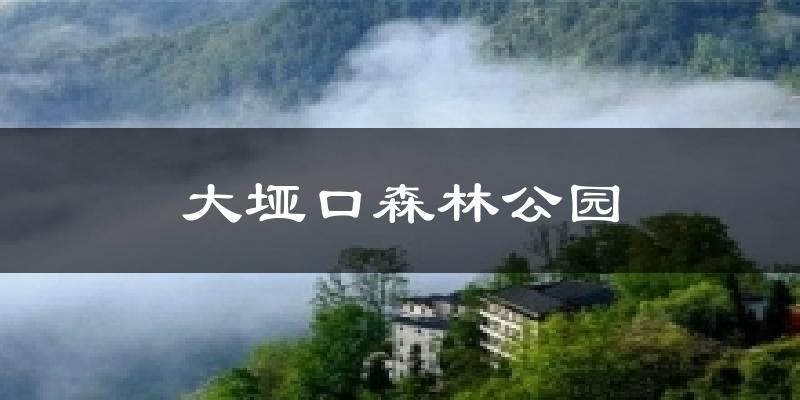 大垭口森林公园气温