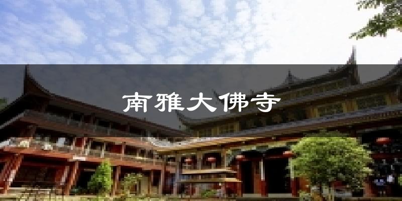 南雅大佛寺气温