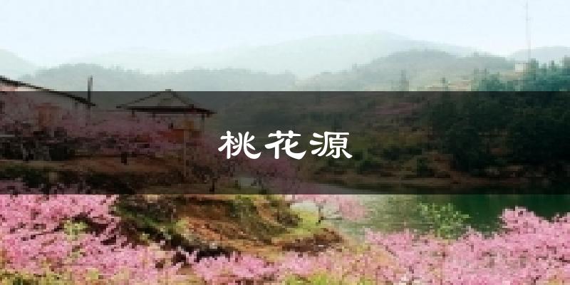 桃花源气温